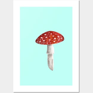 Mushroom Master Fly Agaric Posters and Art